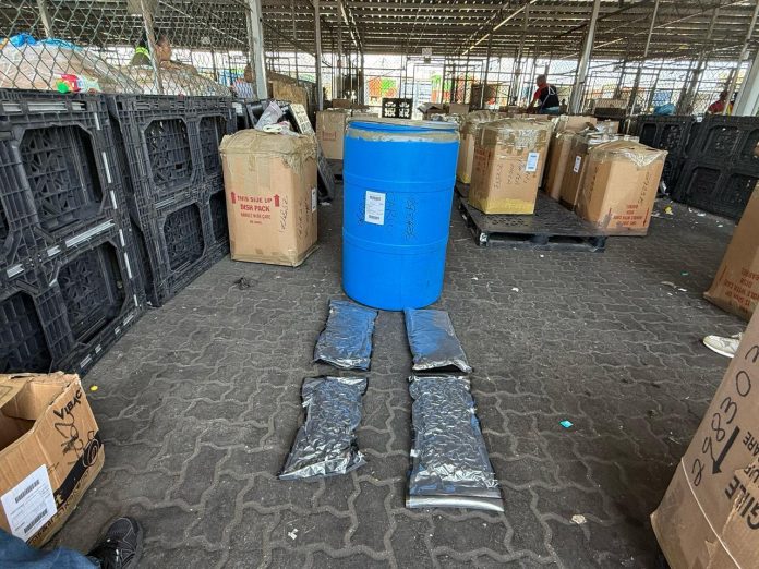 DNCD ocupa 46 paquetes de marihuana en Puerto de Haina