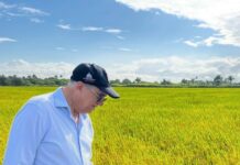Director de Siembra RD, agrónomo Leonardo Faña, felicita al presidente Luis Abinader por los avances en la erradicación del hambre en República Dominicana