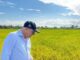 Director de Siembra RD, agrónomo Leonardo Faña, felicita al presidente Luis Abinader por los avances en la erradicación del hambre en República Dominicana
